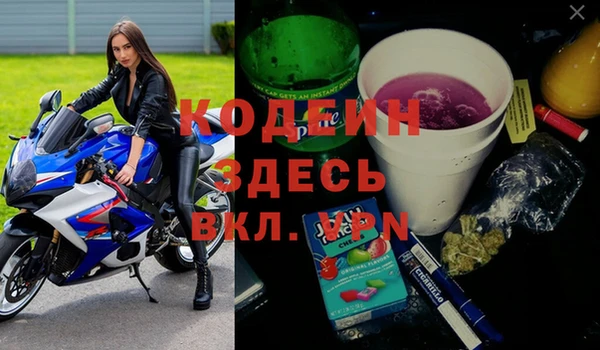 гашик Анива