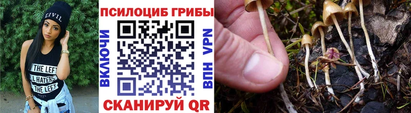 Галлюциногенные грибы мицелий  Эртиль 